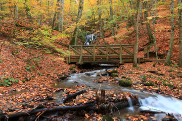 yedigoller - yedigöller autumn colors in bolu turkey
