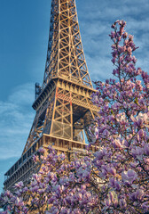 Eiffel in Spring