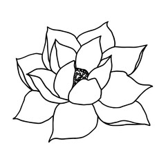 Vector hand drawn lotus flower black line art illustration. Outline floral drawing for for logo, tattoo, packaging design, compositions. Water Lily botanical vector design.