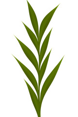Fototapeta na wymiar bamboo leaves isolated on white