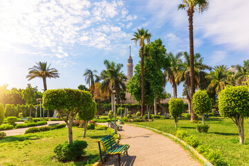 Green park with palms in the center of Cairo and view on the TV Tower, Egypt - obrazy, fototapety, plakaty