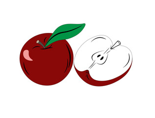 Cartoon red apple in a cut. Vector illustration