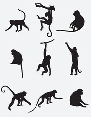 Set of Monkey Silhouette vector illustration