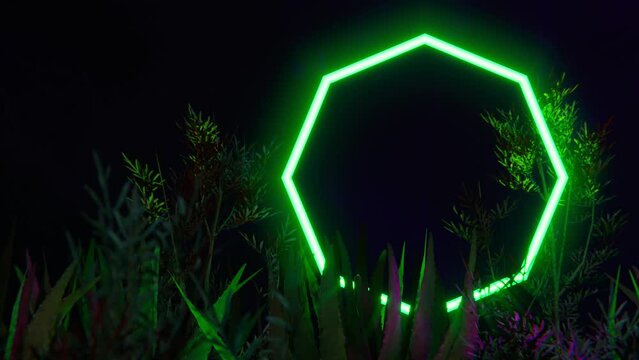Neon octagon rotating among tropical plants. Loop animation