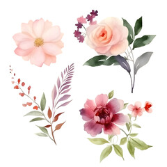 Set of watercolor flowers. Hand-drawn illustration. For your design