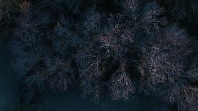 Ruins of the Castle of Guadalerzas. Aerial view from a drone. Municipality of Los Y&eacute;benes. Toledo. Castilla la Mancha. Spain. Europe