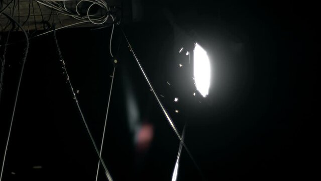 Many insects swarming street light at Night, vertical orientation
