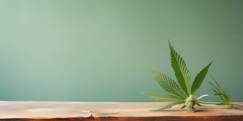 Cannabis Plant on Light Green Background with Copyspace, Steaming White Joint on Wooden Board, Illustrating Drug Consumption and the Controversy of Drug Legalization