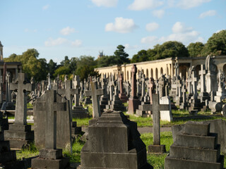 old cemetery in the sun
