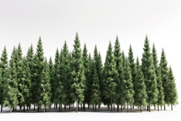 Fototapeta premium A picturesque winter landscape with a row of frost-covered trees in a snow-covered forest on a white background is AI Generative.