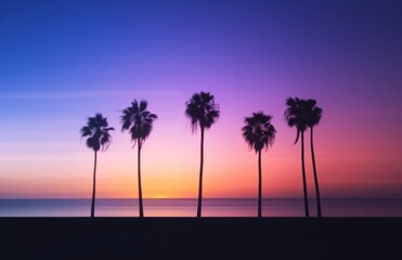 Triple Exposure Palm Trees  Sunset Dusk Colours 