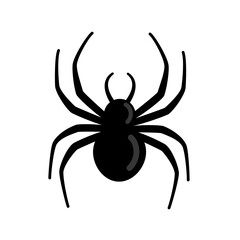 Spider silhouette isolated on white background. Scary with long legs. Vector illustration isolated on white background.