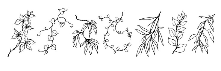 Set of botanical linear sketches of various branches with leaves, herbs.Vector graphics.
