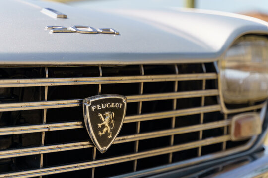 Close up of Peugeot 204 silver car emblem.