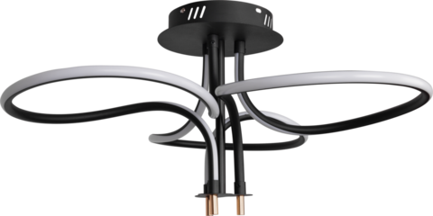 Pendant Light Isolated on white background. Modern interior lighting. Home interior decoration