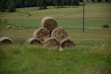 Bale of straw in summer fields, countryside view.
