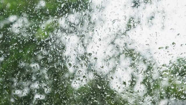 A violently blowing tree during a storm behind a window with drops of rainwater. Video with selective focus.