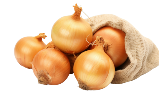 Raw fresh onions in burlap bag isolated on transparent background PNG