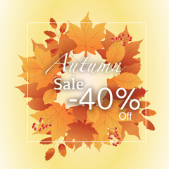 Vector Autumn Sale card, background, banner, poster or flyer design. Up to 40 of discount drawn of autumn elements, maple leaves. 
