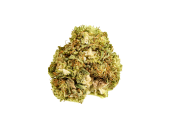 Medical marijuana flower. Close up cannabis flower. Medical marijuana bud. Weed buds. Cannabis strain. Macro image. The image is fully sharp, front to back. Clipping path.