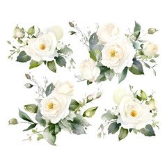 Watercolor white roses and green leaves bouquets on white background