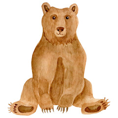 Isolated illustration of a watercolor realistic bear on a white background. Watercolor silhouette of an animal on a white background. Forest animals © Olyasolo_art