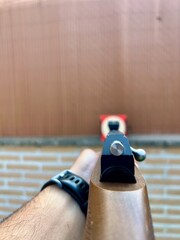 Point of view of a person aiming a carbine at a target.