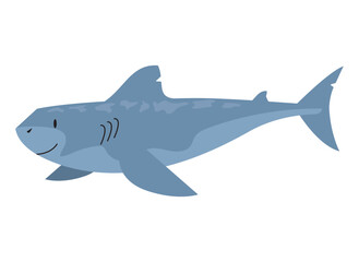 gray shark design