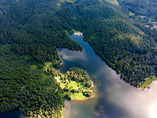 Fototapeta na wymiar Aerial view of Shiroka polyana Reservoir, Bulgaria