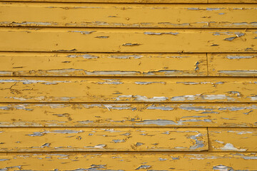 A wooden wall painted with yellow paint as a background.