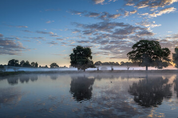 ghostly mist hovering over ponds at Bushy Park