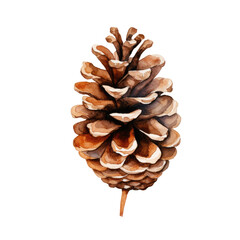 Pinecone watercolour illustration. clipart for design. Christmas elements isolated on transparent background. Generative ai