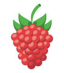 healthy berries design