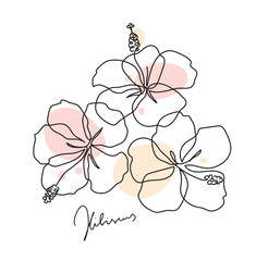 Beautiful hibiscus flower. Line art concept design. Continuous line drawing. Three blooming flowers. Vector illustration