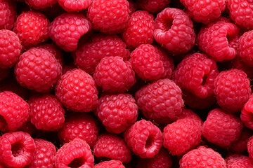 raspberry background closeup
