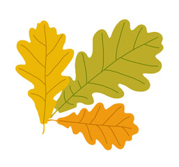 Hand drawn illustration of fallen leaves from trees in fall season. Foliage of various colors is produced.