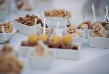 Snacks for the holiday, catering. Various light snacks. Catering plate. Assortment of sandwiches on the buffet table. meat, fish, nuts, cheese, vegetable canapes ofcelebration of important event. 