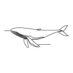 One continuous line drawing of Whale vector illustration. Whales are highly social creatures, forming pods of varying sizes depending on the species. Animal themes design and suitable for your asset.