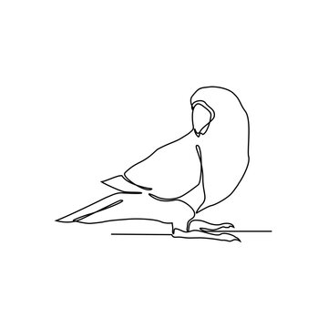 One continuous line drawing of Parrot vector illustration. DUnravel the secrets of their remarkable vocal abilities, from imitating human speech and animal sounds to creating their own melody and call