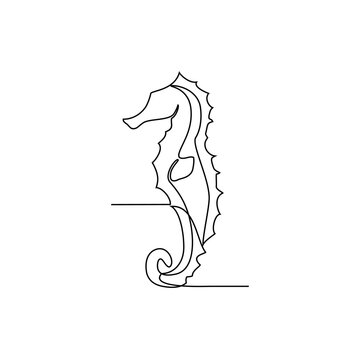 One continuous line drawing of Seahorses vector illustration. Dive into the world of their unusual body shape, prehensile tails, and lack of teeth. Animal design suitable for your asset design.