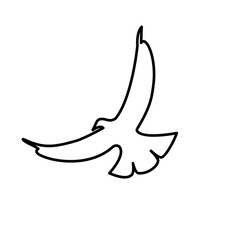 bird simple line icon