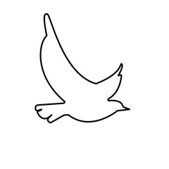 bird simple line icon