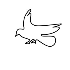 bird simple line icon