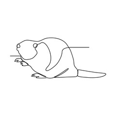 One continuous line drawing of Beaver is rodent animal with white background. rodent animal design in simple linear style. rodent animal design concept continuous line vector illustration. © RM Design