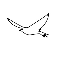 bird simple line icon