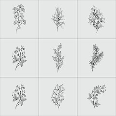 botanical floral branch and minimalist flowers for logo or tattoo hand drawn line flower set