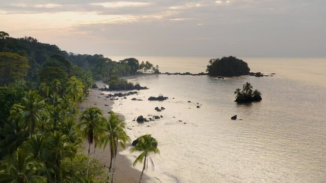 Pacific Coast With Rainforest