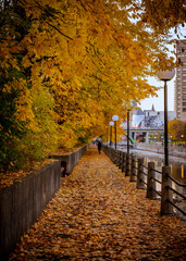 Pathway along the Rideau Canal during autumn with golden leaves on the ground, Ottawa, Ontario, Canada. Photo taken in November 2021.