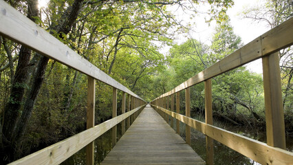 Fototapeta na wymiar Wooden pathway in Lagoas de Bertiandos