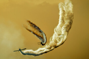 Atardecer dorado , aves rapases forjadas en hierro ,rompen el cielo de Mendoza Arg.